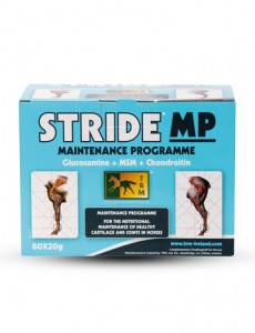 STRIDE-MP