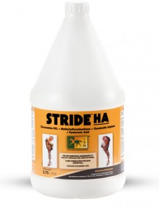 TRM-STRIDE-HA