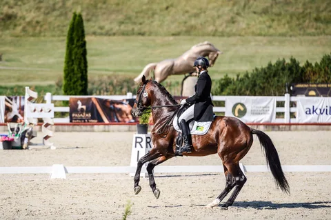Atvērtais Lietuvas čempionāts iejādē — 2. attēls