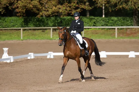 Baltic Dressage League – Latvia 2016 — 2. attēls