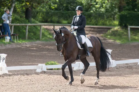 Baltic Dressage League – Latvia 2016 — 3. attēls