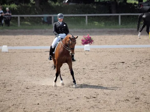 Baltic Dressage league Latvia 2017 — 1. attēls