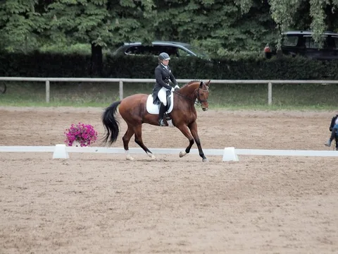 Baltic Dressage league Latvia 2017 — 2. attēls