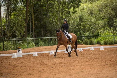 Drostalu kauss iejādē 2016 — 4. attēls