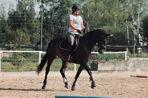 EQUUS iejādes seminārs — 2. attēls