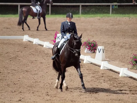FEI WORLD DRESSAGE CHALLENGE — 3. attēls