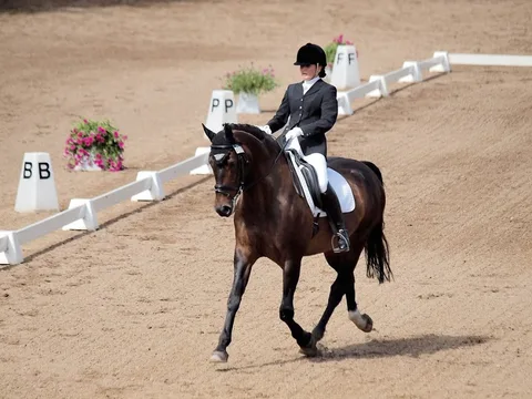 FEI WORLD DRESSAGE CHALLENGE — 1. attēls