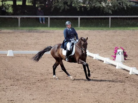 FEI WORLD DRESSAGE CHALLENGE — 4. attēls