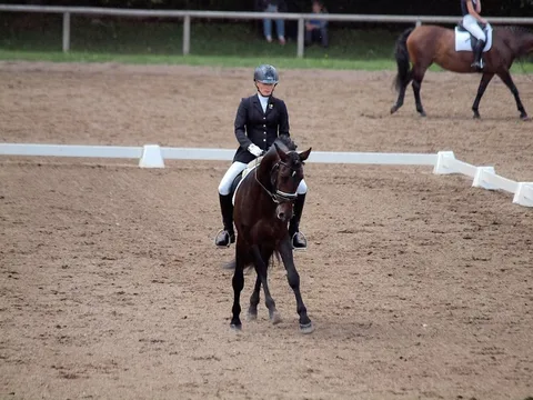 FEI WORLD DRESSAGE CHALLENGE — 5. attēls