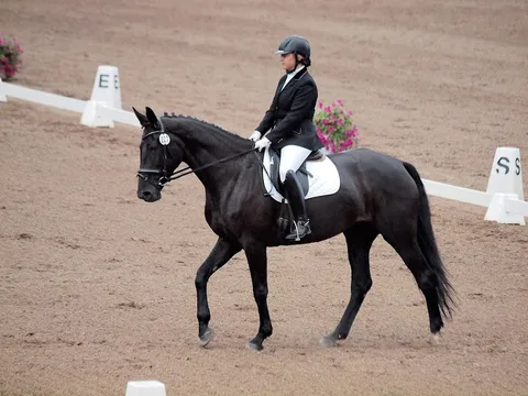 FEI WORLD DRESSAGE CHALLENGE — 2. attēls
