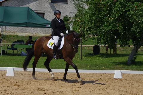 Green Horse kauss iejādē 2018 — 1. attēls