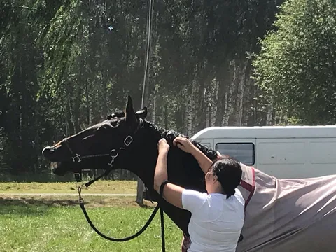 Jātnieku sporta sacensības iejādes sporta klubā “Drostalas” — 1. attēls