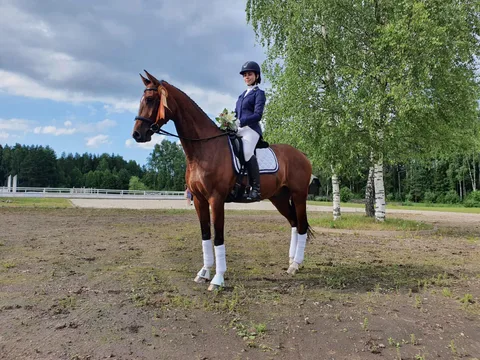 Jauno jātnieku skolas sacensības iejādē “Vasaras kauss” — 3. attēls