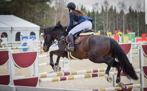 Jauno Jātnieku Skolas Turnīrs I posms — 1. attēls