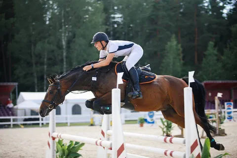 JJS turnīra 2.posms — 1. attēls