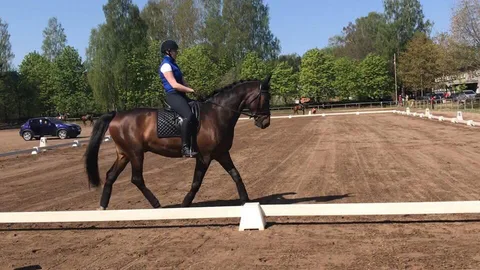 Klasifikācijas sacensības iejādē — 1. attēls
