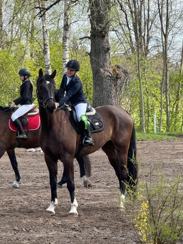 Konkūra sacensības Jsk Princis — 2. attēls