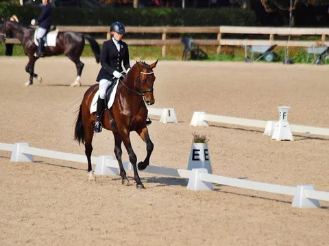 Latvijas jātnieku sporta dienu sacensības iejādē — 2. attēls