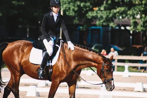 Latvijas jātnieku sporta dienu sacensības iejādē — 5. attēls