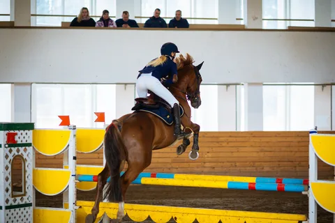 Latvijas Ziemas čempionāts konkūrā IV posms -2017 — 1. attēls