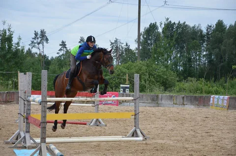 Seminārs – “Sapratne – panākumu pamats 2016” — 5. attēls