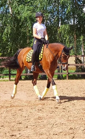 Treniņsacensības iejādē — 2. attēls