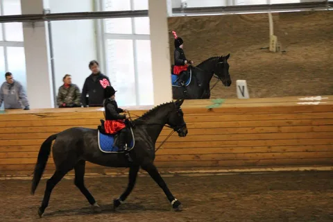 Ziemassvētku kauss 2016 — 1. attēls